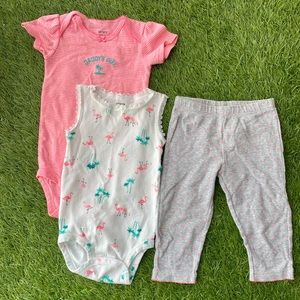 Carters Girl Onesie Set🦩12 Months 🏝️